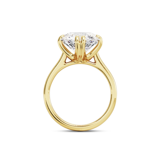 4.5 CT Vera