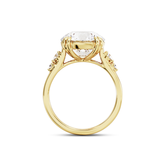 6 CT Sadie