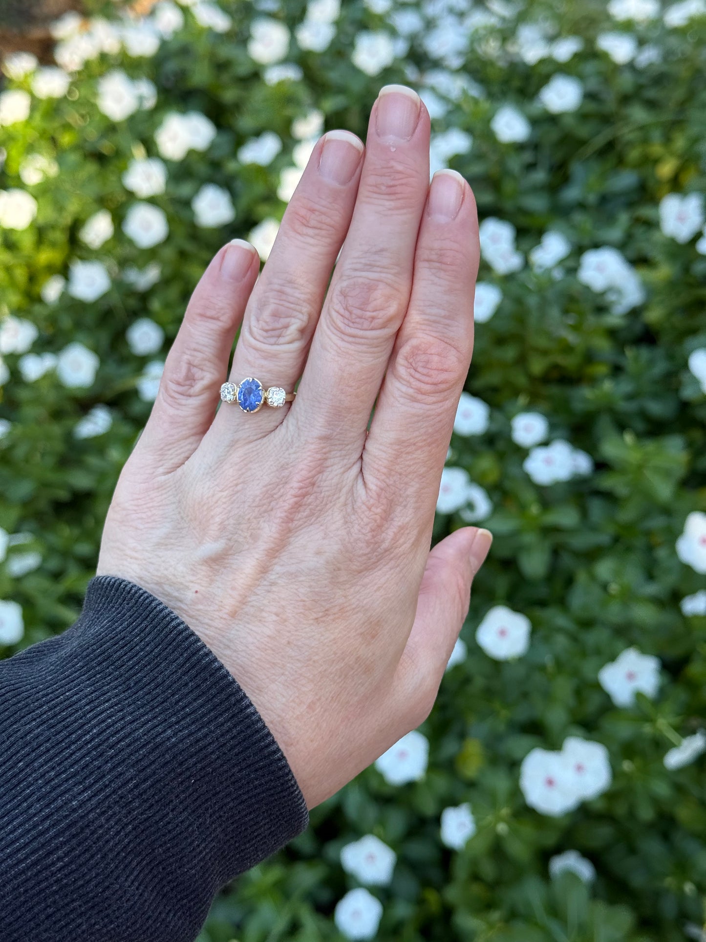 Sapphire three stone ring