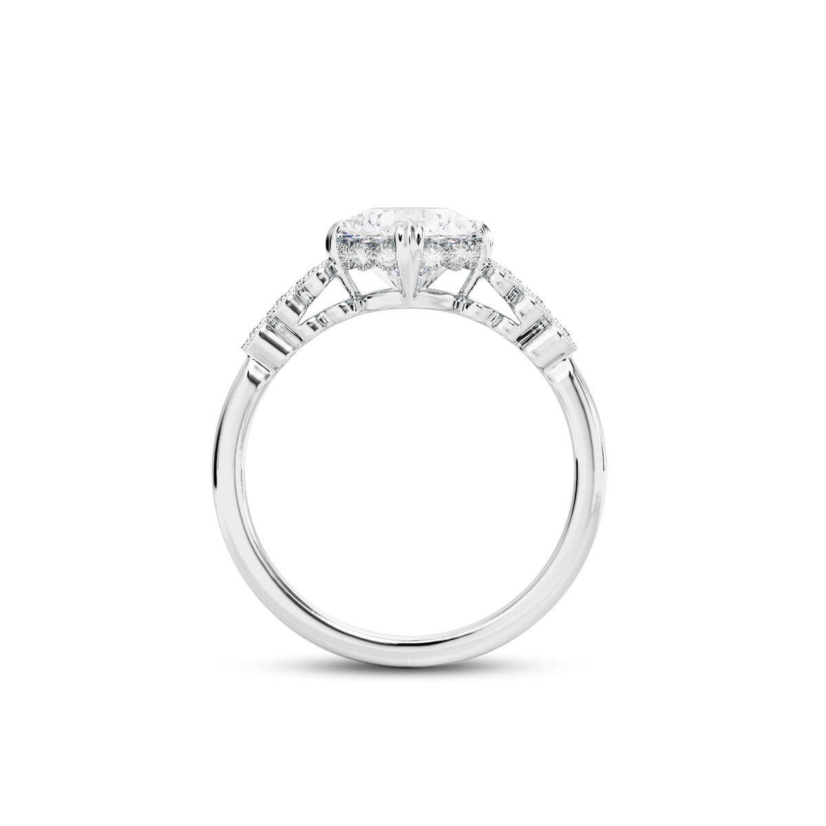 1.5 CT Celeste