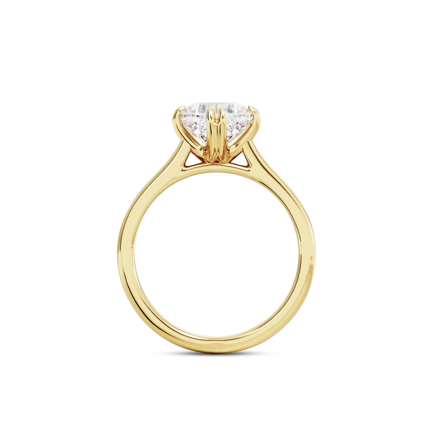 1.5 CT Vera