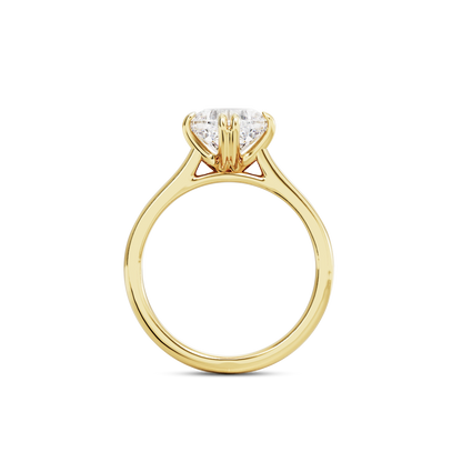 1.5 CT Vera