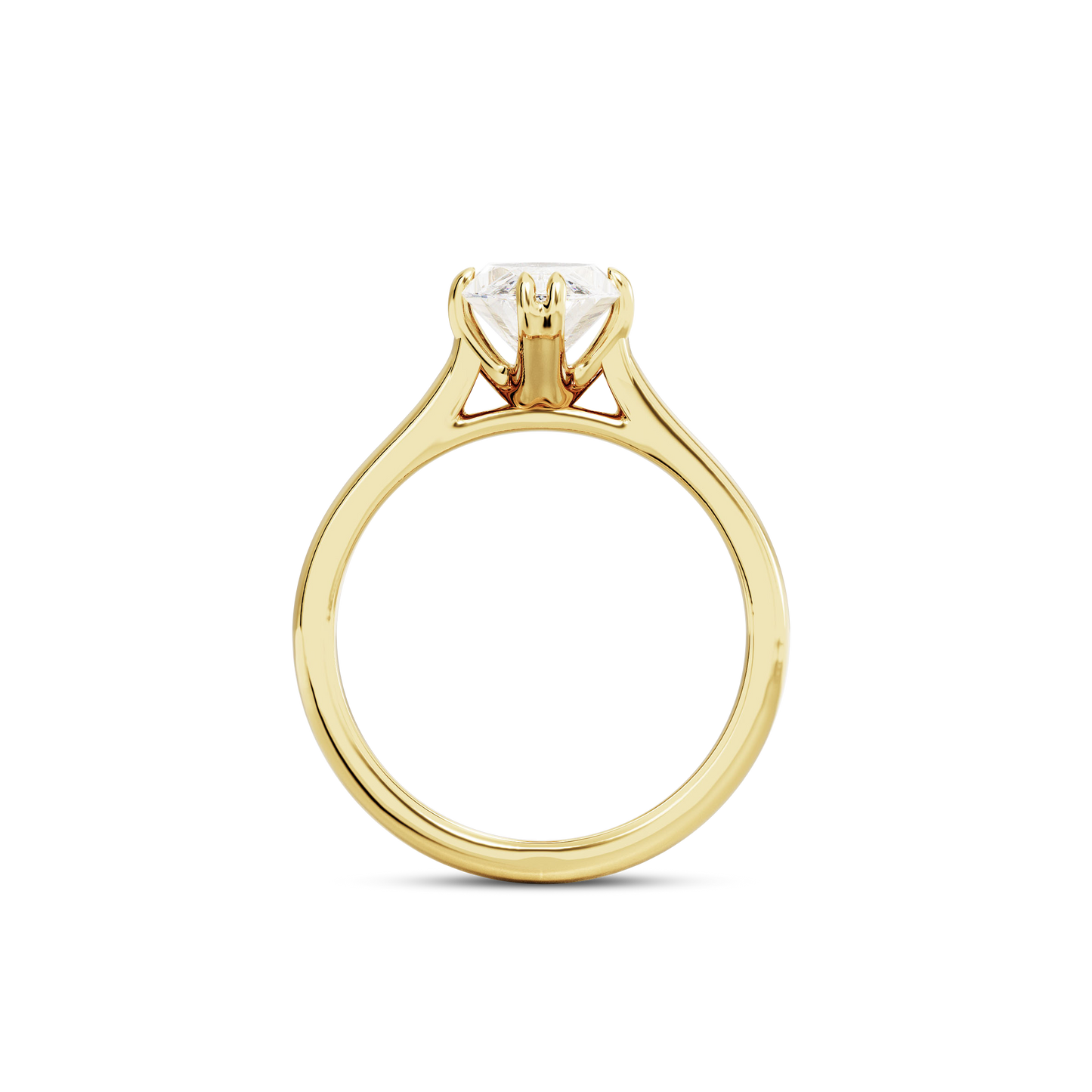 1.5 CT Vera