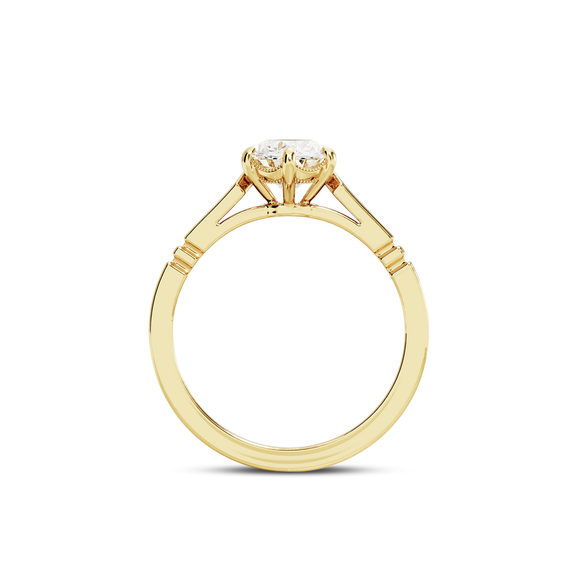 1.5 CT Iris