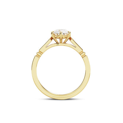 1.5 CT Iris