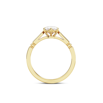 1.5 CT Iris