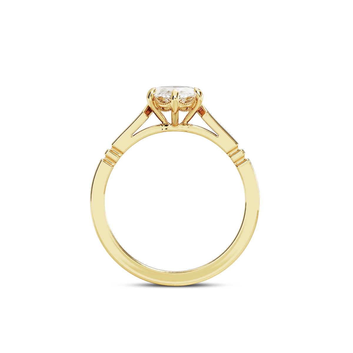 1.5 CT Iris