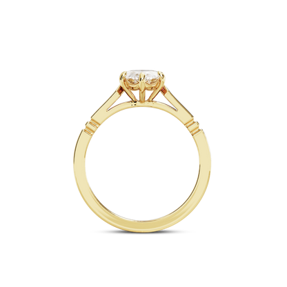1.5 CT Iris