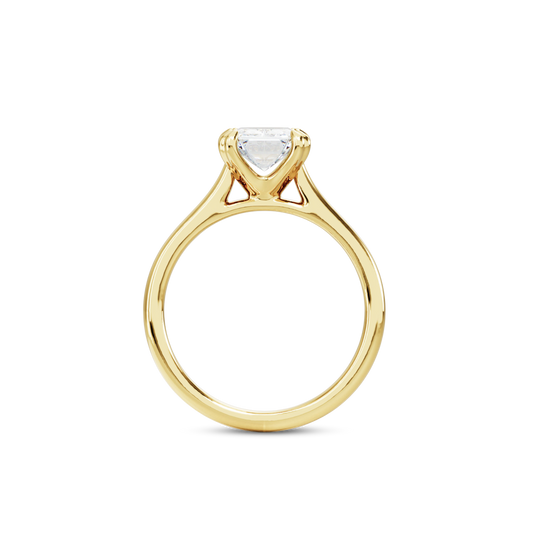 1 CT Vera