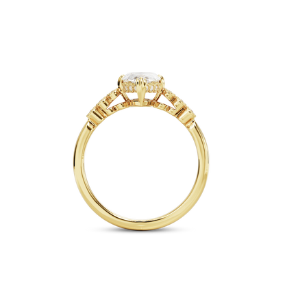 1.5 CT Celeste