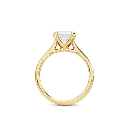 1 CT Vera