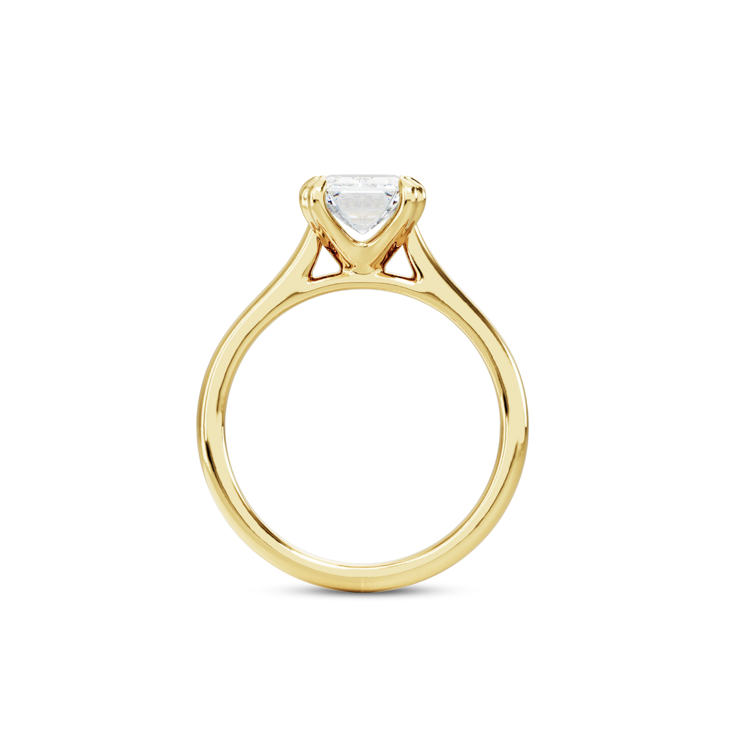 1.5 CT Vera