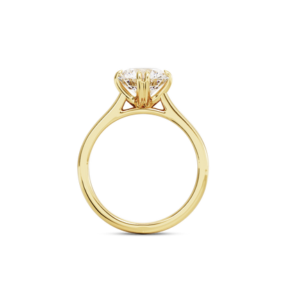 1.5 CT Vera