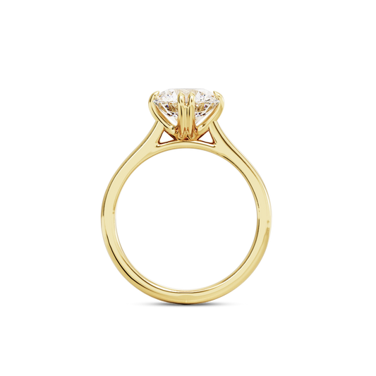 1.5 CT Vera