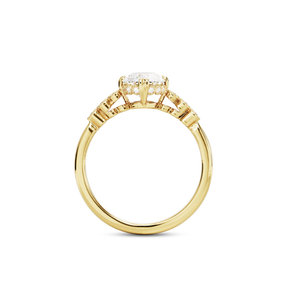 1.5 CT Celeste