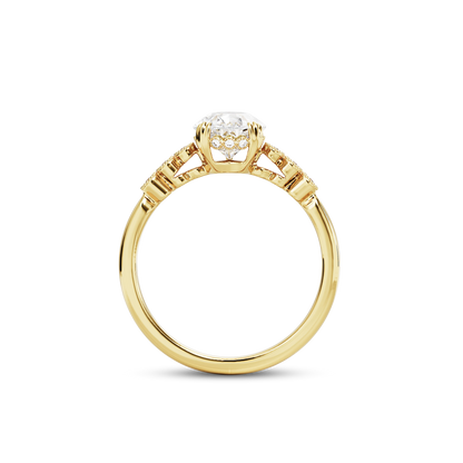 1.5 CT Celeste