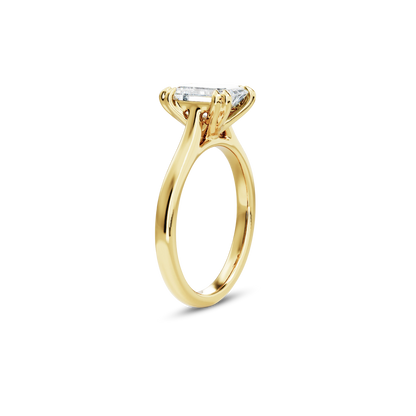 1 CT Vera