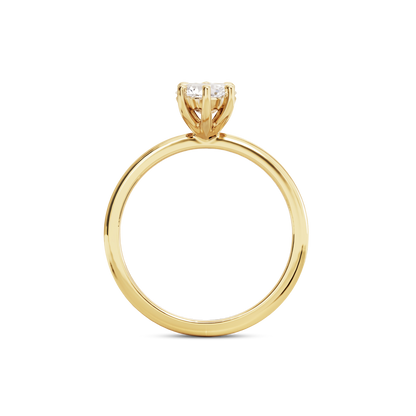 1.5 CT Eliza