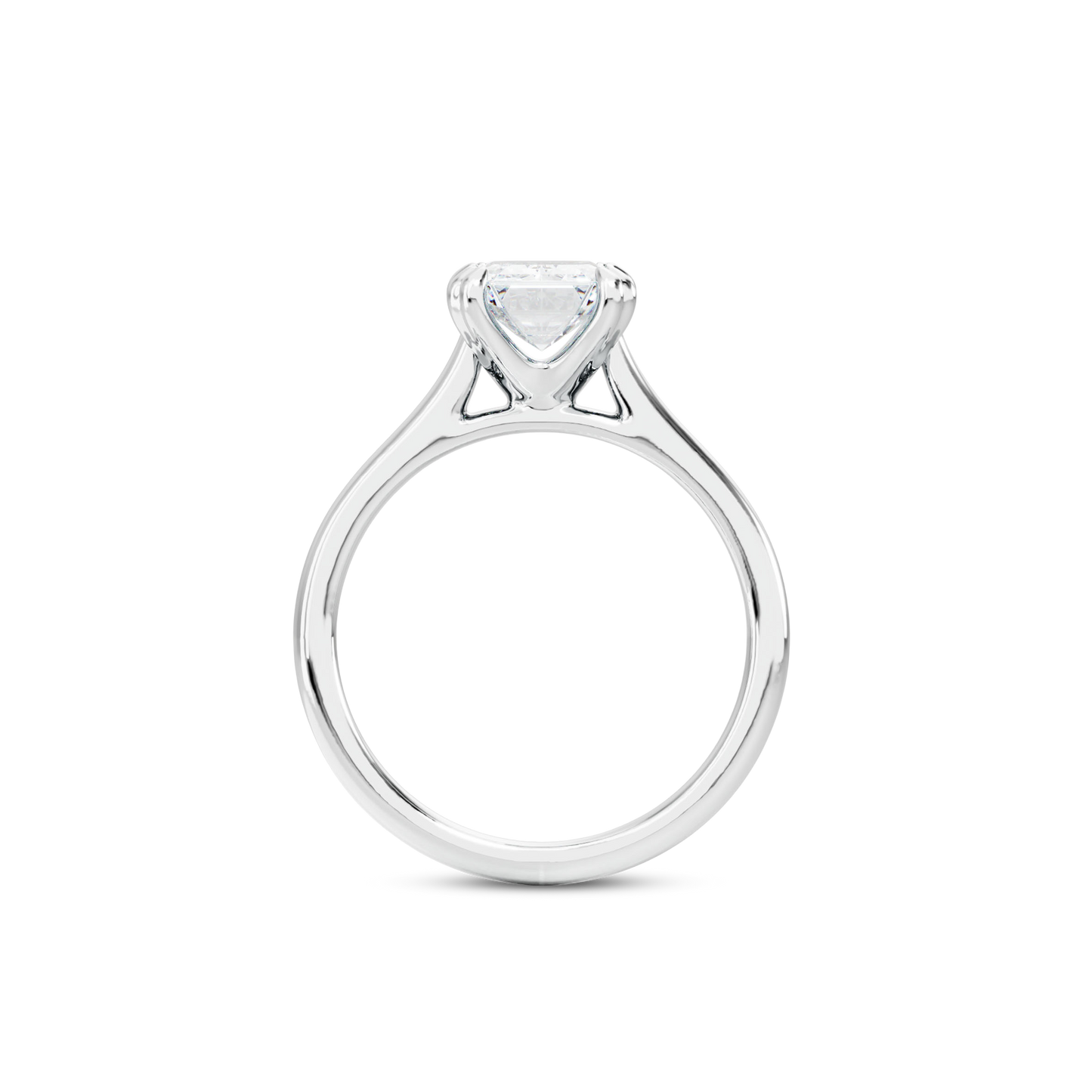 1 CT Vera