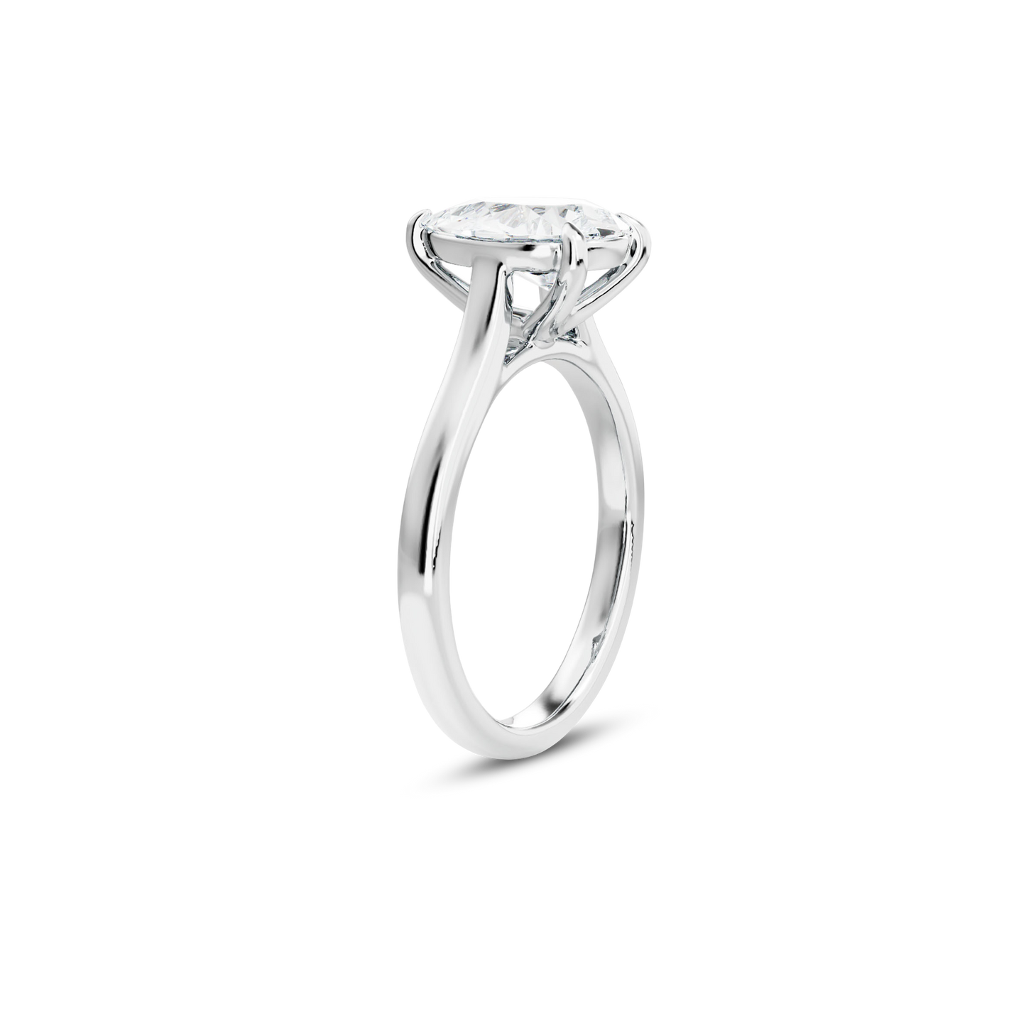 1.5 CT Vera