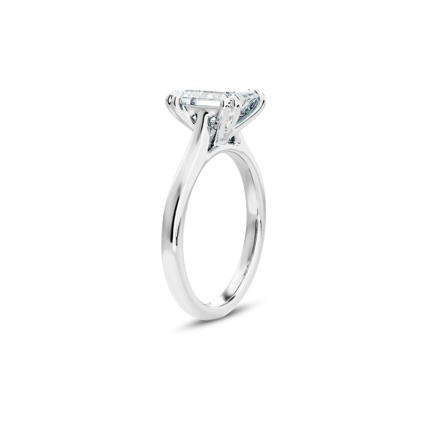 1.5 CT Vera