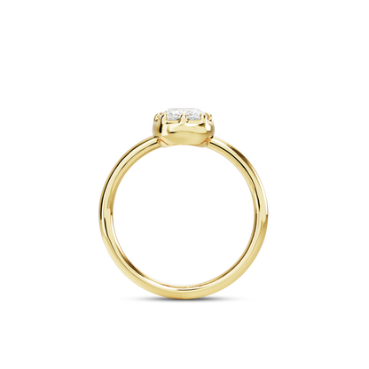 1 CT Clara