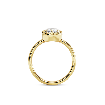 2 CT Clara