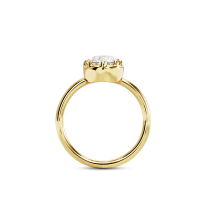 1 CT Clara
