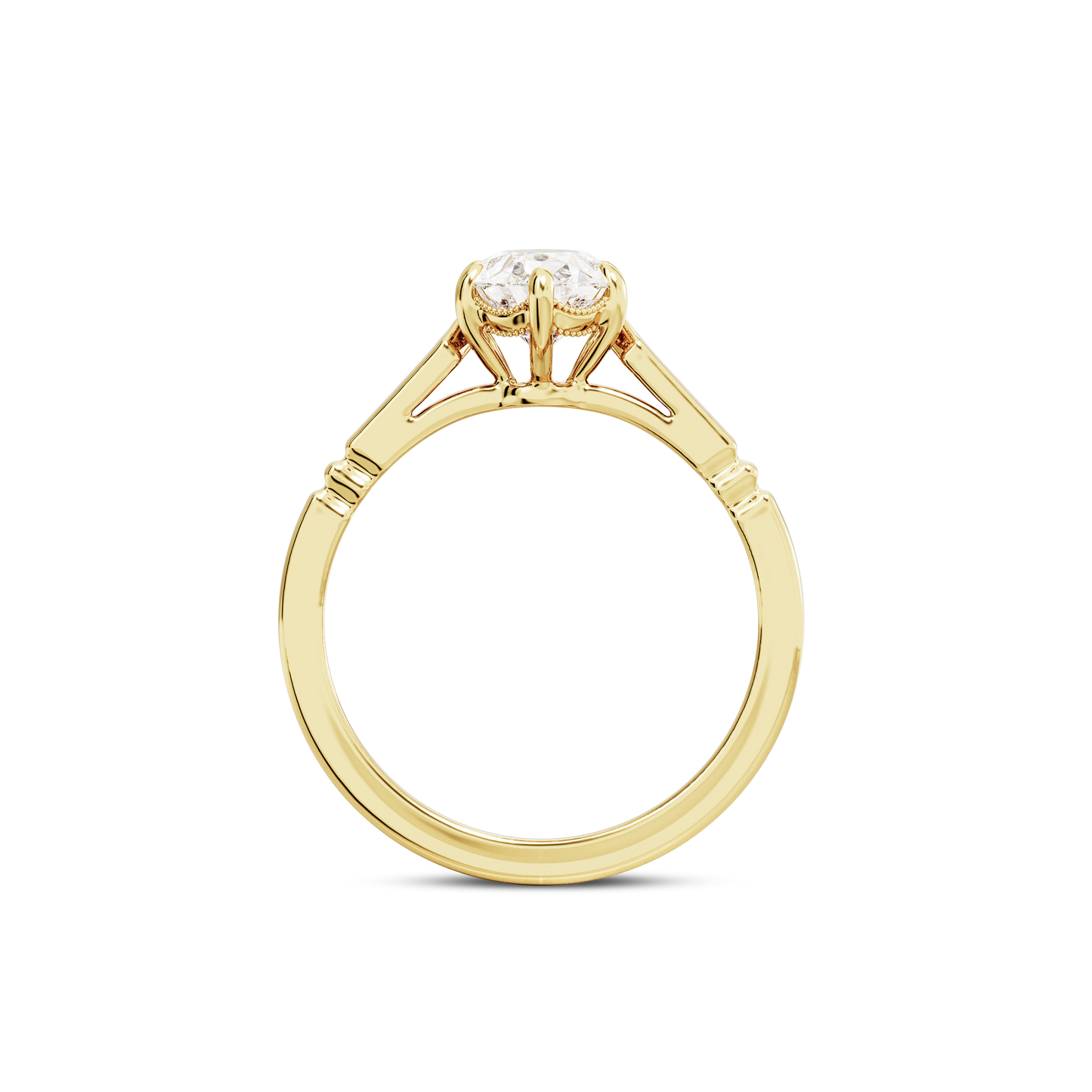 1 CT Iris