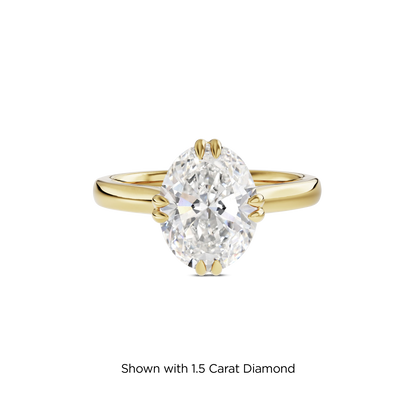 1 CT Vera