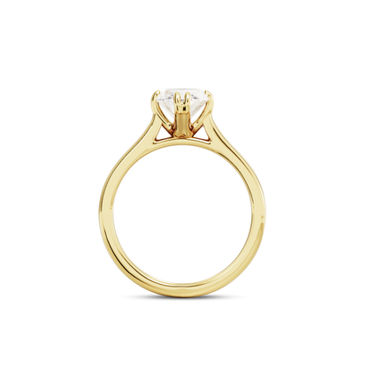 1 CT Vera