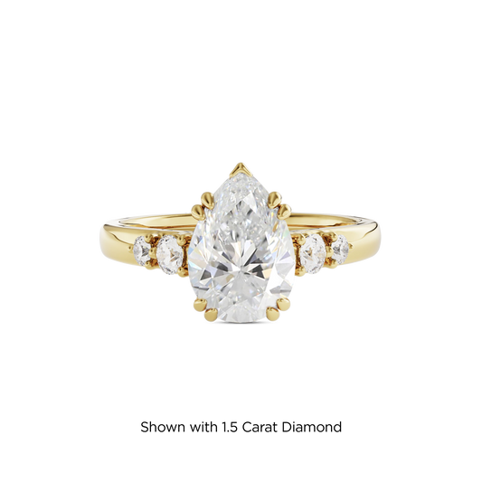 1 CT Sadie