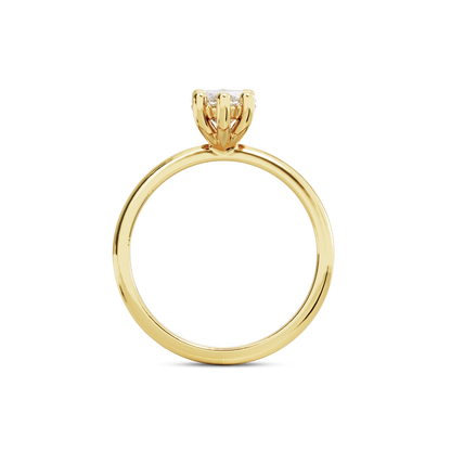 1 CT Eliza