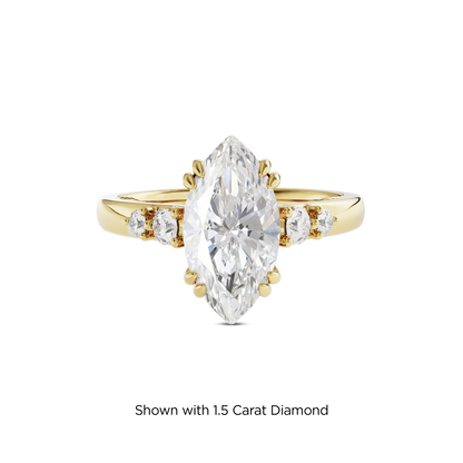 1 CT Sadie