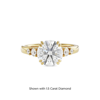 1 CT Sadie
