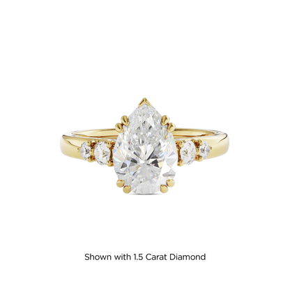 1 CT Sadie
