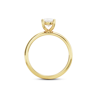 1 CT Eliza