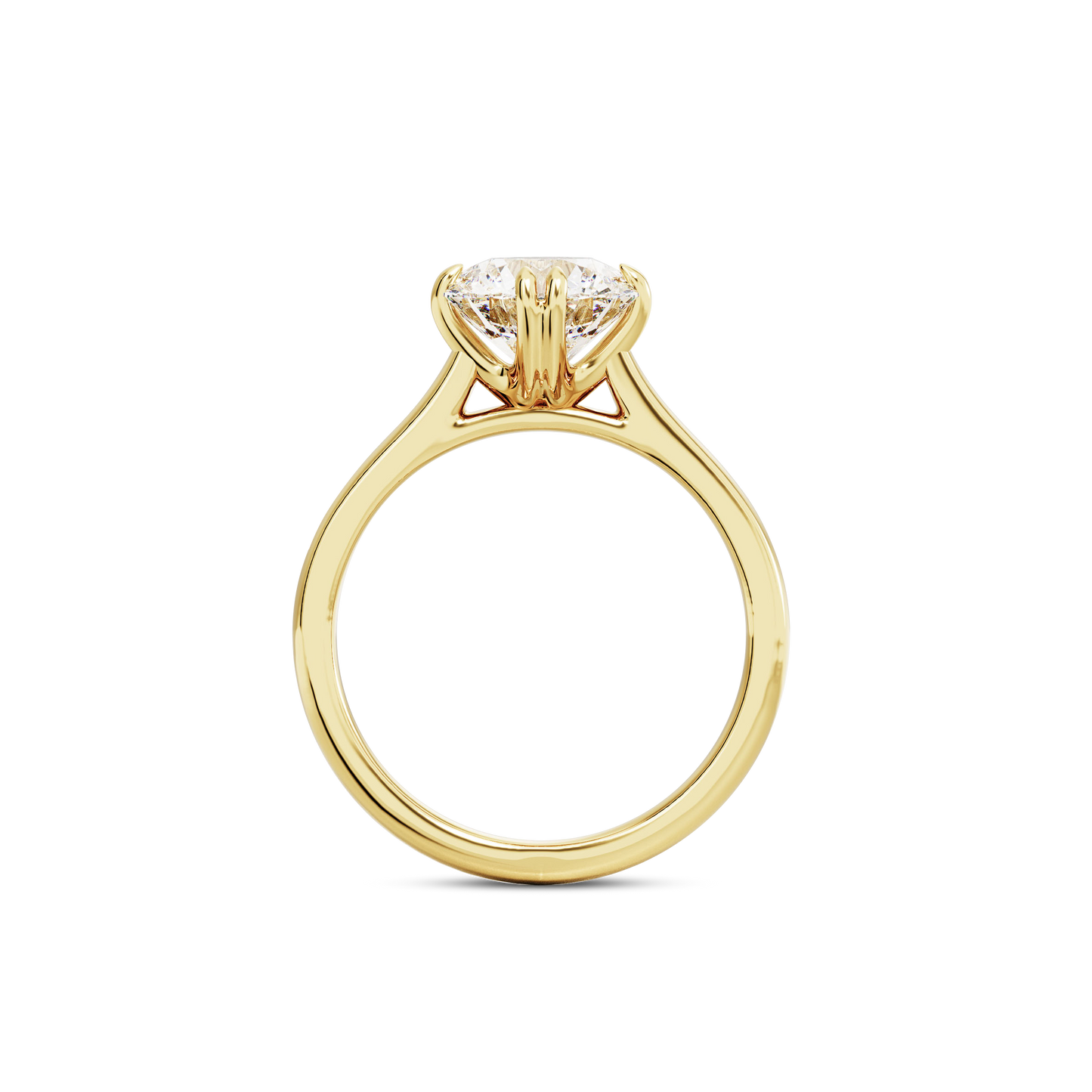 1 CT Vera