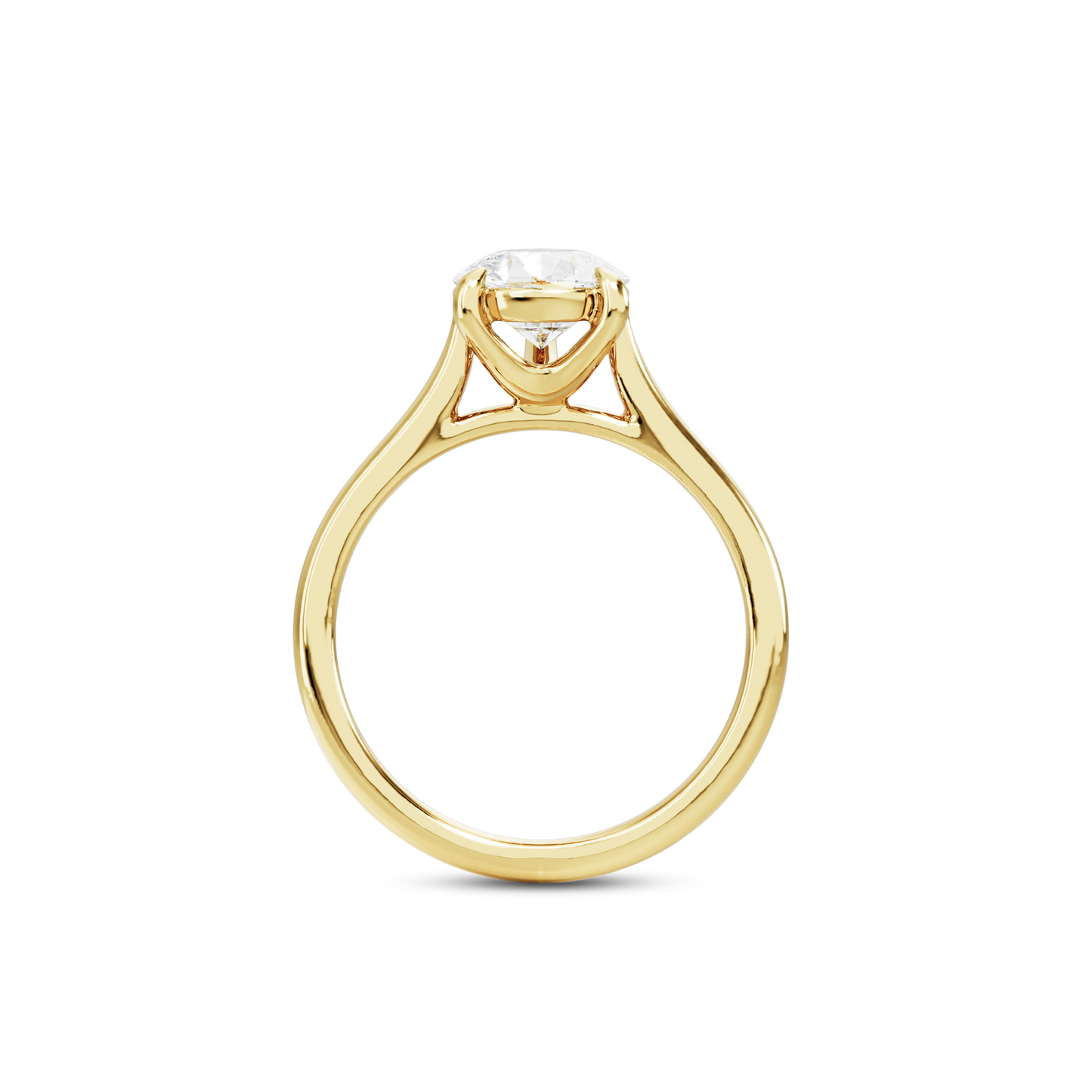 1 CT Vera