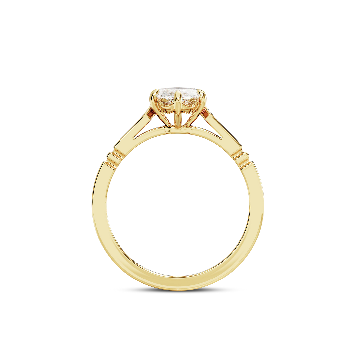 1 CT Iris