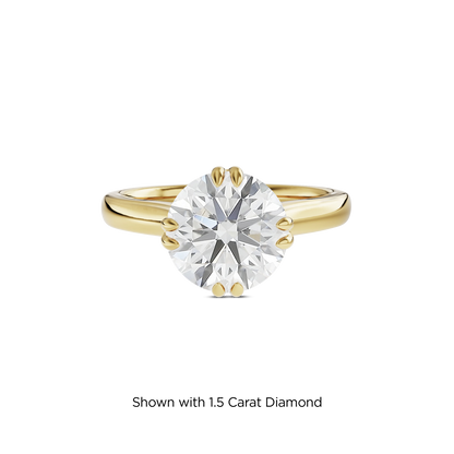 1 CT Vera