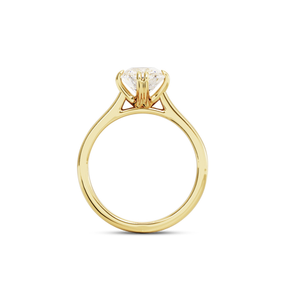 1 CT Vera