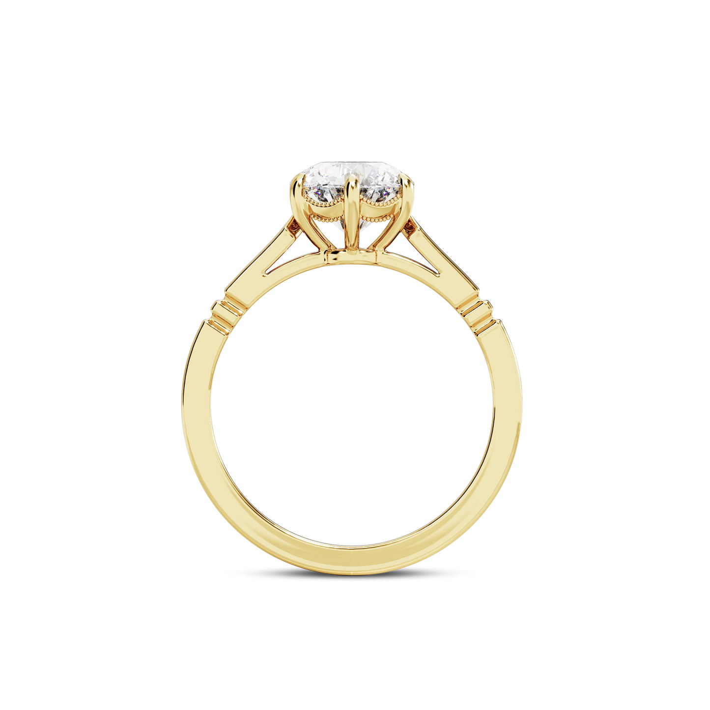 1 CT Iris