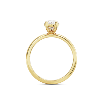 1 CT Eliza
