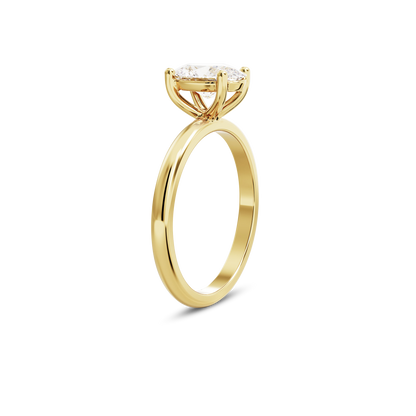 1 CT Eliza