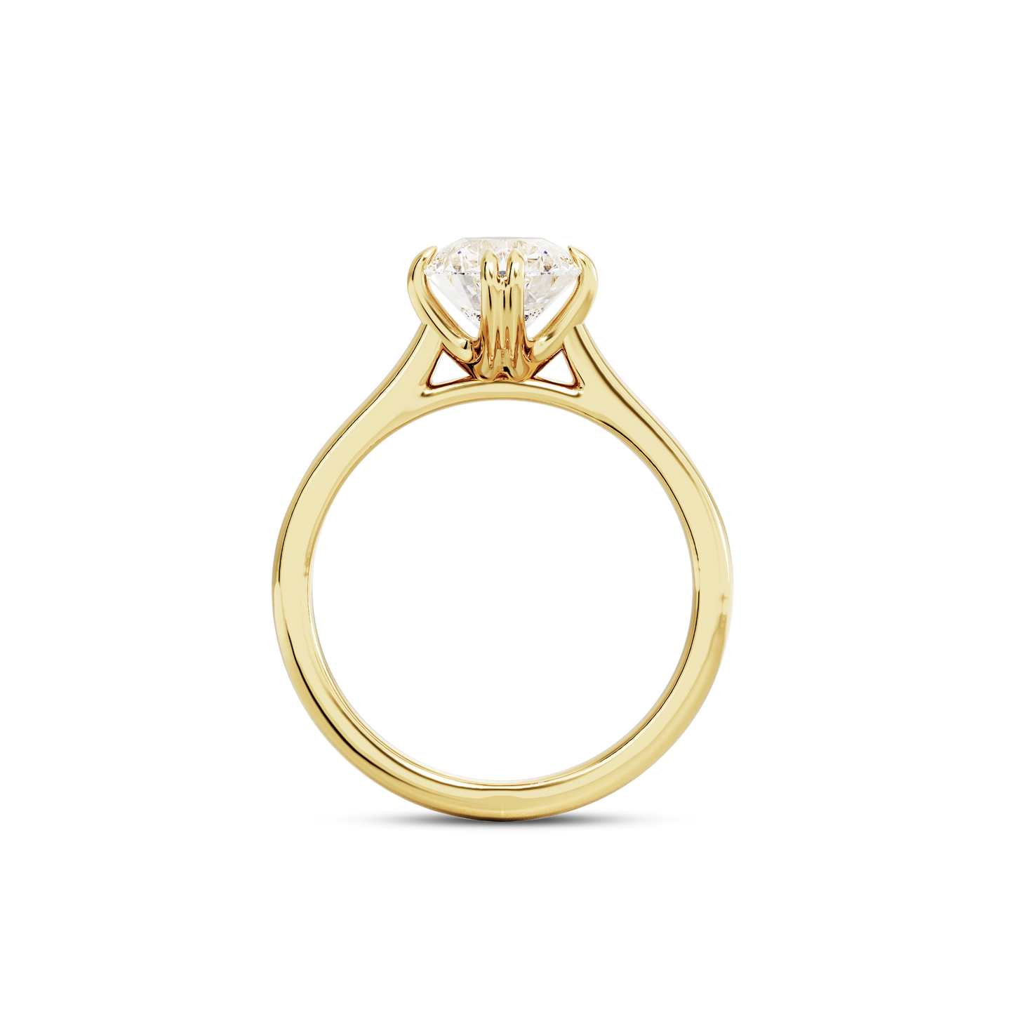 1 CT Vera
