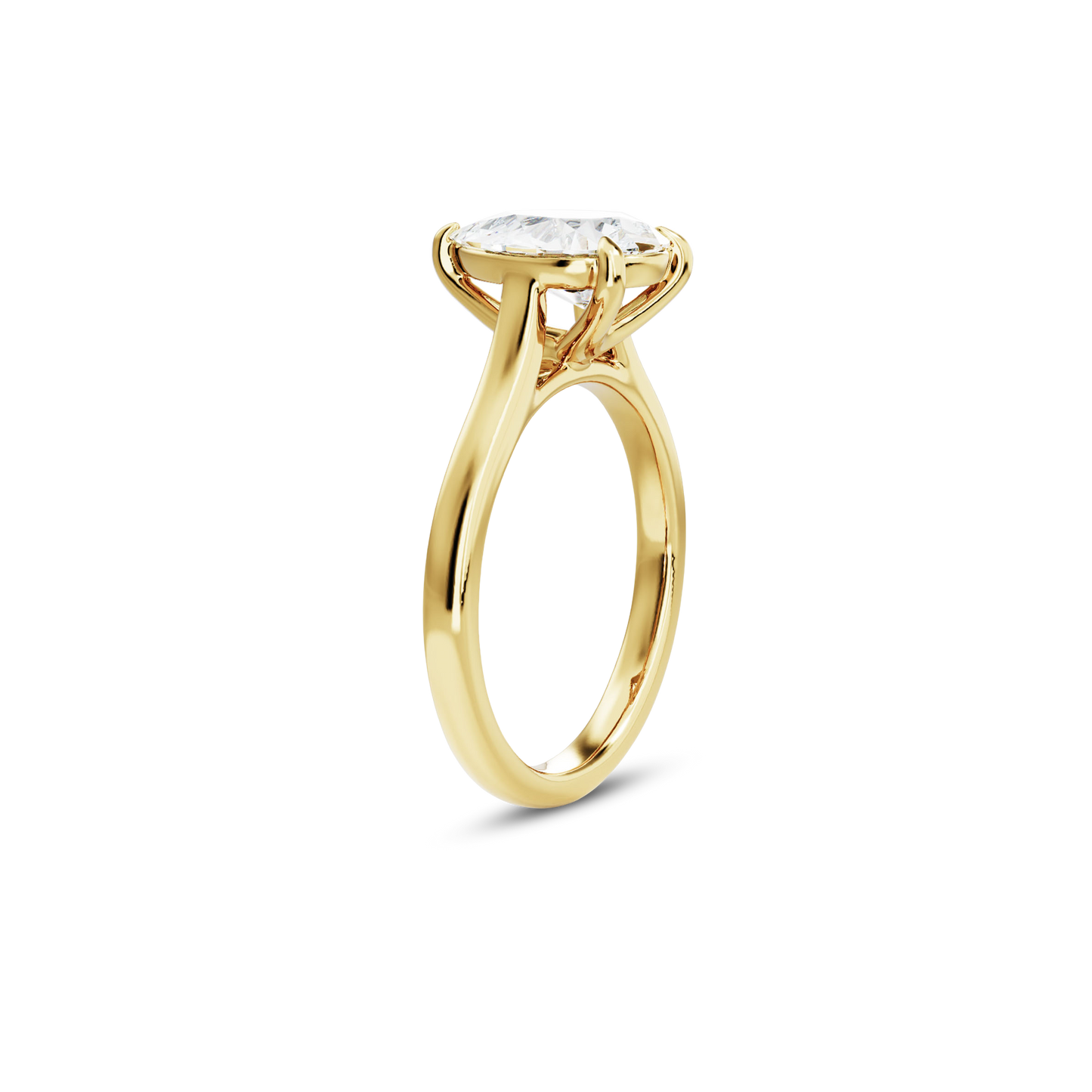 1 CT Vera