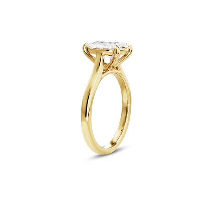 1 CT Vera