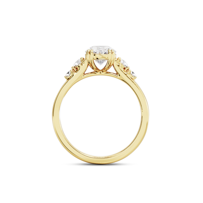 1 CT Sadie
