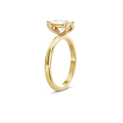 1 CT Eliza